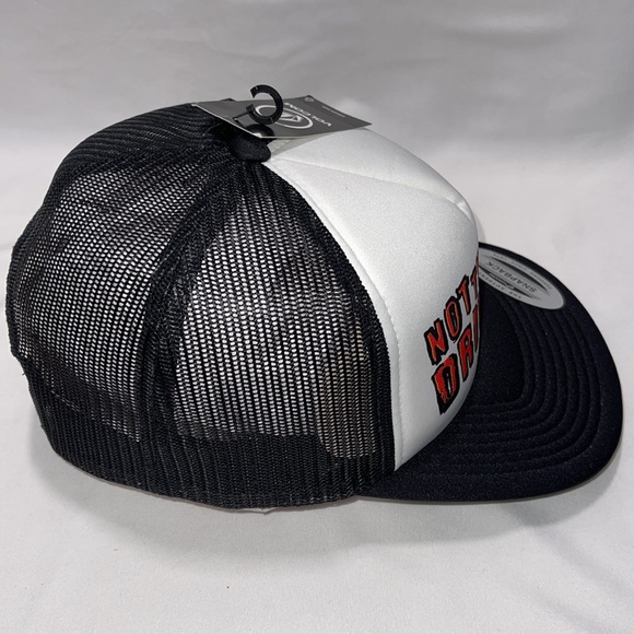 VOLCOM SNAPBACK PARTY Style HAT one size - Picture 6 of 11